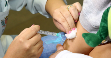Quase 58% das vacinas contra dengue distribuídas no Paraná já foram aplicadas