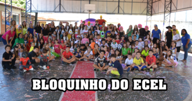 Desfile de Carnaval – Bloquinho do Ecel esbanja criatividade em Andirá