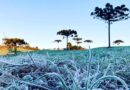 IDR-Paraná e Simepar iniciam serviço Alerta Geada na segunda-feira