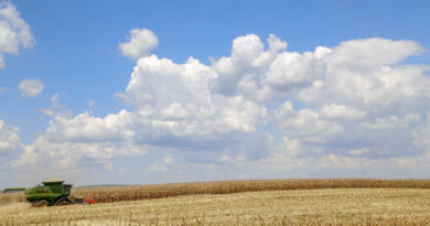 Paraná cresce acima da média nacional em 2023 e mantém 4º maior PIB do País