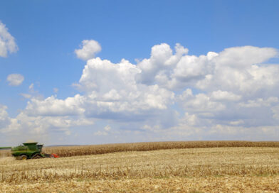 Paraná cresce acima da média nacional em 2023 e mantém 4º maior PIB do País