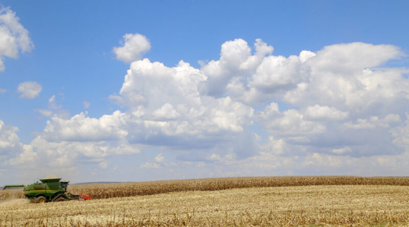 Paraná cresce acima da média nacional em 2023 e mantém 4º maior PIB do País