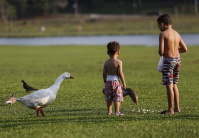 Semana terá temperaturas elevadas e pancadas isoladas de chuva no Paraná