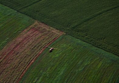 Supermercado do mundo: Paraná expande produção agropecuária entre 2018 e 2025