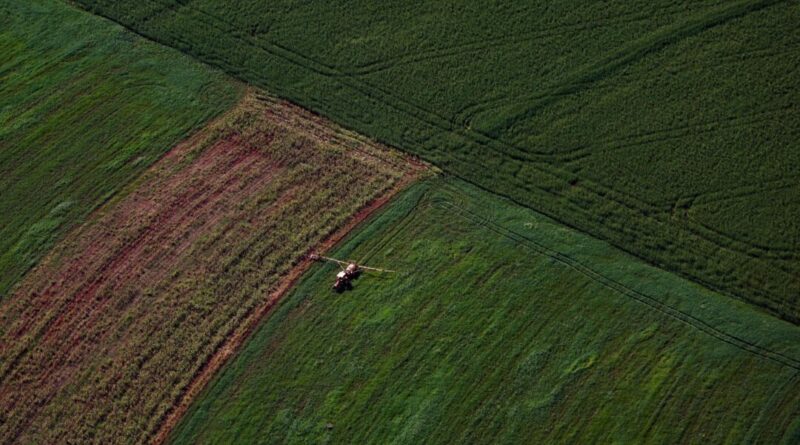 Supermercado do mundo: Paraná expande produção agropecuária entre 2018 e 2025