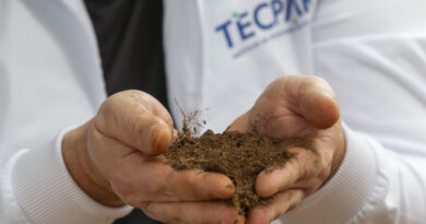 Tecpar inicia projeto inédito para estudar DNA do solo do Paraná Tecpar inicia projeto inédito para estudar DNA do solo do Paraná