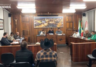 Câmara de Andirá debate abertura de créditos, apoio social e projetos ambientais durante sessão ordinária