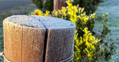 Quarta-feira amanhece com geada e temperatura negativa no Paraná