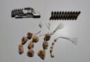 POLÍCIA MILITAR APREENDE MUNIÇÕES E CRACK EM RESIDÊNCIA NO MUNICÍPIO DE JACAREZINHO