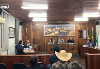 Câmara de Andirá recebe projetos para ampliar vagas na saúde e criar programa de apadrinhamento